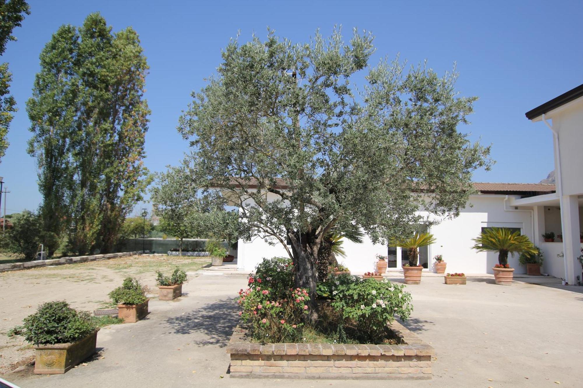Villa Capodacqua Castrocielo Exterior photo